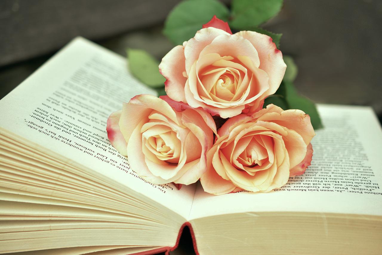 Otwarta książka z różą